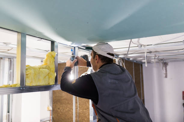 Best Types of Insulation in Carey, ID